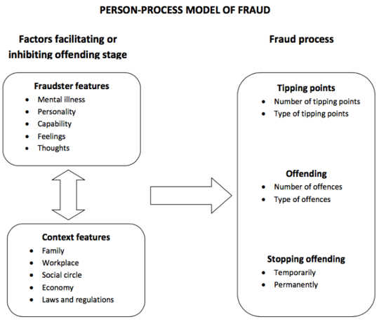 The person-process model. Author provided 