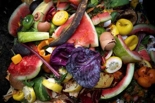 Reduce Your Food Waste To Save Money, Boost Health And Reduce Co2 Emissions