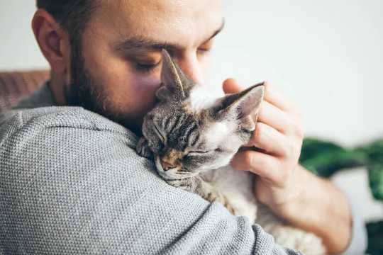 The Impact Our Pets Have On Our Mental Health And Wellbeing